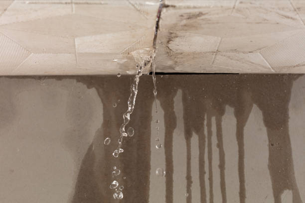 Professional Structural Drying technician working in Allentown, PA